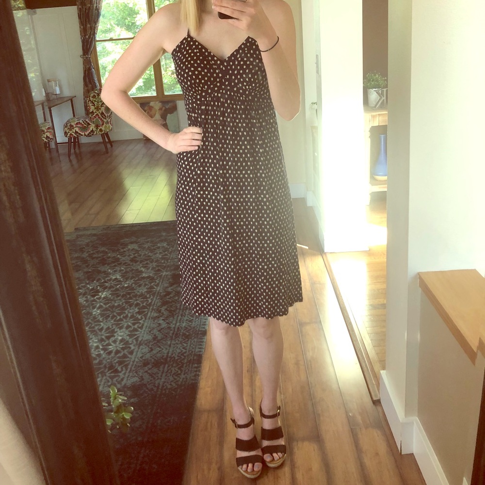 Ann Taylor Loft Navy and Polka Dot Midi Dress